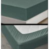 ART1620FSE