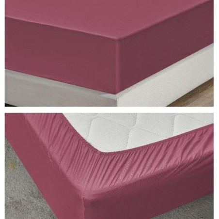 ART1820FSR